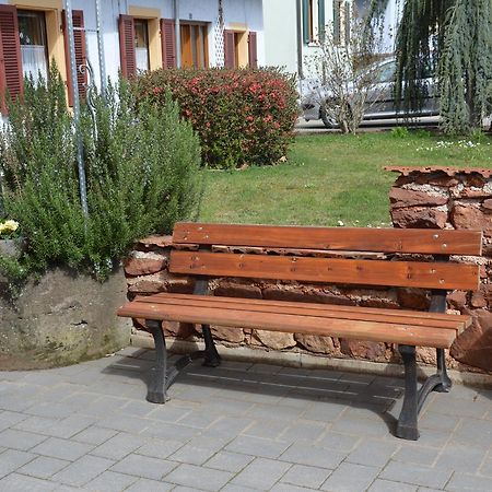Ferienwohnungen Am Brunnen - Naehe Europapark, W-Lan, Klimaanlage Rheinhausen Exterior photo